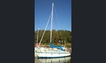 Sunwind 311-kuva-11